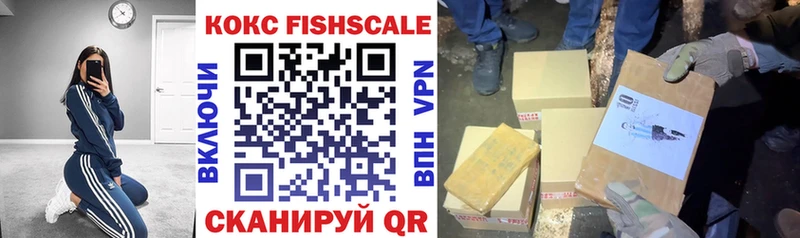 Купить закладки  Новохопёрск  COCAIN VHQ 