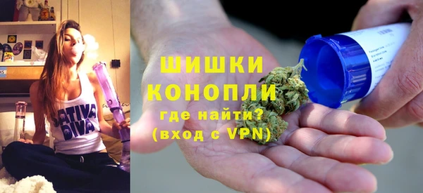 прущие грибы Дмитриев