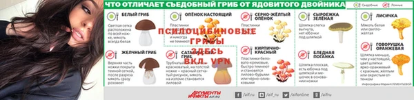 прущий лед Дмитровск