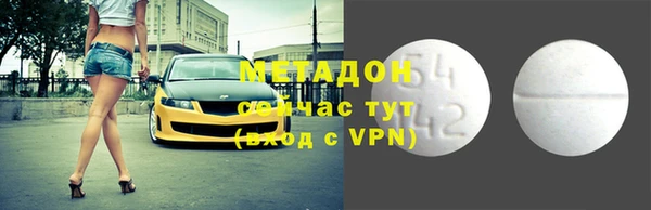 прущие грибы Дмитриев
