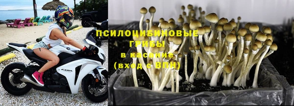 прущий лед Дмитровск