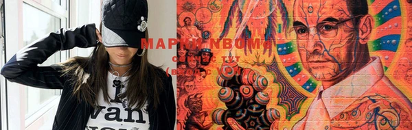 прущие грибы Дмитриев