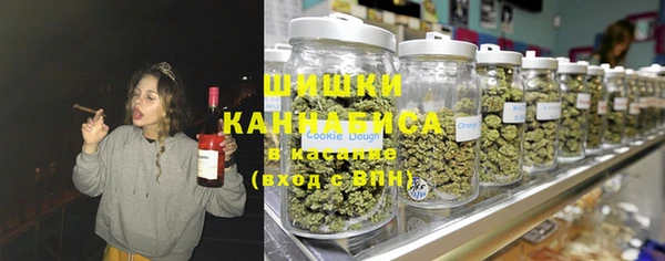 прущие грибы Дмитриев