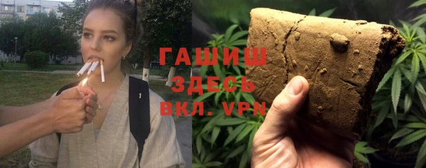 прущие грибы Дмитриев