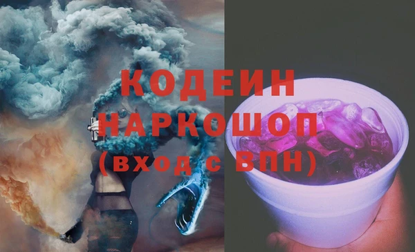прущие грибы Дмитриев