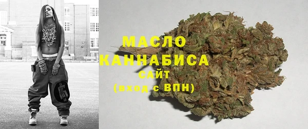 прущие грибы Дмитриев