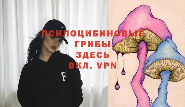 прущие грибы Дмитриев