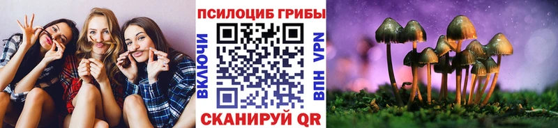 Купить закладки  Новохопёрск  Псилоцибиновые грибы Psilocybe 